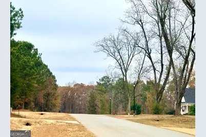 130 Rolling Meadows Way, Waverly Hall, GA 31831 - Photo 3