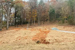 114 Rolling Meadows Way, Waverly Hall, GA 31831 - Photo 5