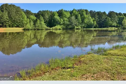 104 Blue Ridge Drive, Newnan, GA 30265 - Photo 59