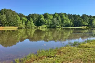 104 Blue Ridge Dr, Newnan, GA 30265 - Photo 59