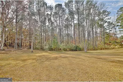 104 Blue Ridge Drive, Newnan, GA 30265 - Photo 53