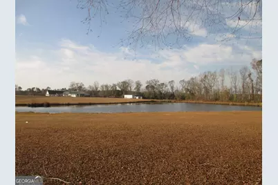 4262 Ga Highway 15, Vidalia, GA 30474 - Photo 19