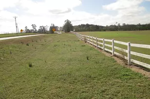 4262 Ga Hwy 15, Vidalia, GA 30474 - Photo 17