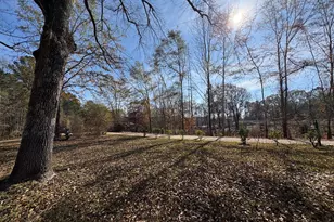 17 Norwood Rd, Franklin, GA 30217 - Photo 19