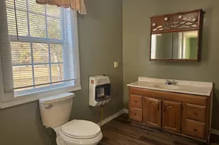 17 Norwood Rd, Franklin, GA 30217 - Photo 13