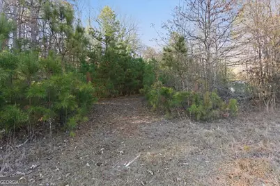 469 Lee Williams Road, Carrollton, GA 30117 - Photo 13