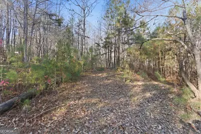 469 Lee Williams Road, Carrollton, GA 30117 - Photo 15