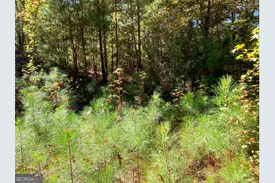 106 Maple Glen Court, Centerville, GA 31028 - Photo 15