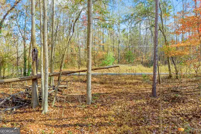 0316 Arrowhead Drive #316, Lavonia, GA 30553 - Photo 17