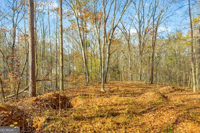 0316 Arrowhead Drive #316, Lavonia, GA 30553 - Photo 15