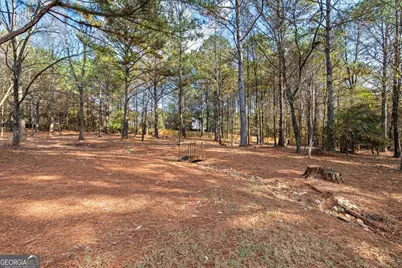 115 Trotters Ridge, Fayetteville, GA 30215 - Photo 87