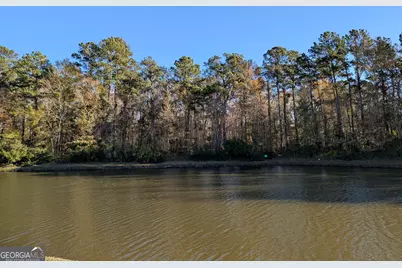 155 Alexander Way, Richmond Hill, GA 31324 - Photo 35