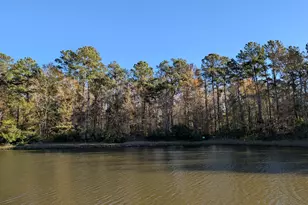 155 Alexander Way, Richmond Hill, GA 31324 - Photo 35