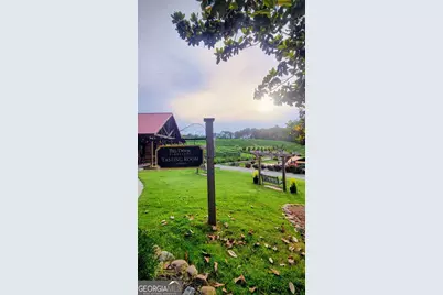 324 Sutallee Place, White, GA 30184 - Photo 35