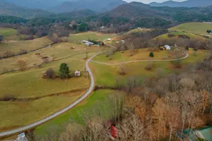 115 Barnhill Rd, Blairsville, GA 30512 - Photo 63
