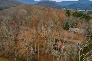 115 Barnhill Rd, Blairsville, GA 30512 - Photo 65