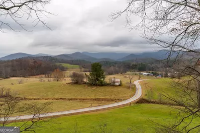 115 Barnhill Road, Blairsville, GA 30512 - Photo 13