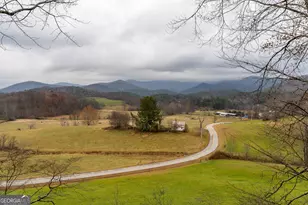 115 Barnhill Rd, Blairsville, GA 30512 - Photo 13