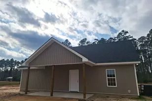 155 Peach Ln, Baxley, GA 31513 - Photo 19