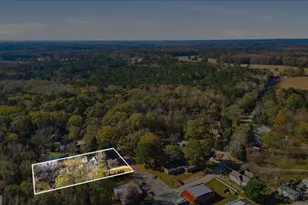 42 S Hunter St, Senoia, GA 30276 - Photo 67