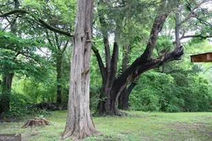 88 Railroad Ave, Carlton, GA 30627 - Photo 45