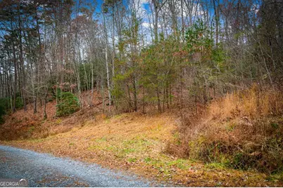 208 Bullen Gap Road, Blue Ridge, GA 30513 - Photo 47