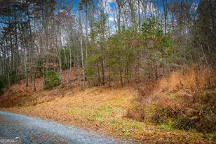 208 Bullen Gap Rd, Blue Ridge, GA 30513 - Photo 47