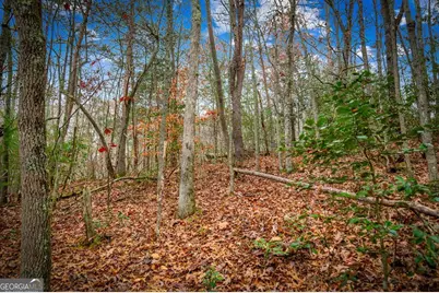 208 Bullen Gap Road, Blue Ridge, GA 30513 - Photo 59