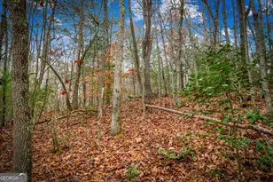 208 Bullen Gap Rd, Blue Ridge, GA 30513 - Photo 59