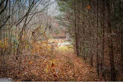 208 Bullen Gap Road, Blue Ridge, GA 30513 - Photo 55