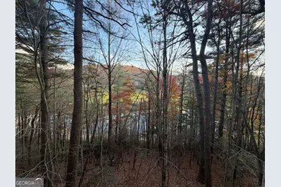 47 Brasstown Lane, Dillard, GA 30537 - Photo 27