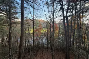 47 Brasstown Ln, Dillard, GA 30537 - Photo 27