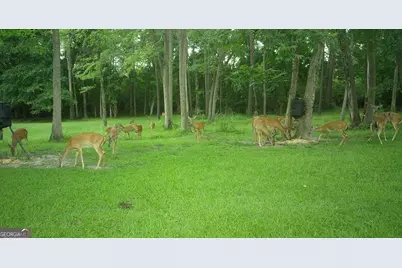 5002 Addison Trail, Statesboro, GA 30458 - Photo 35