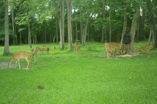 5002 Addison Trail, Statesboro, GA 30458 - Photo 35