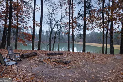 190 Bontura Drive, Senoia, GA 30276 - Photo 43