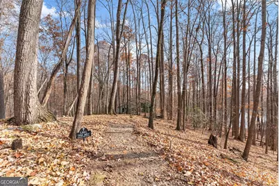 315 N Lake Drive, Sautee Nacoochee, GA 30571 - Photo 51
