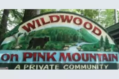 0 Pink Mountain, Cleveland, GA 30528 - Photo 9