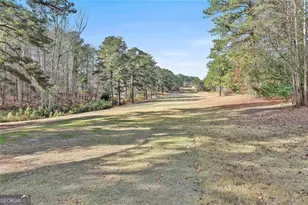 8903 E Carroll Rd, Winston, GA 30187 - Photo 57