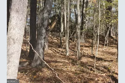 90 Moores Lane, Oxford, GA 30054 - Photo 7