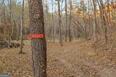 2903 S Old Federal Road, Chatsworth, GA 30705 - Photo 69