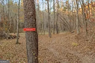 2903 S Old Federal Rd, Chatsworth, GA 30705 - Photo 69