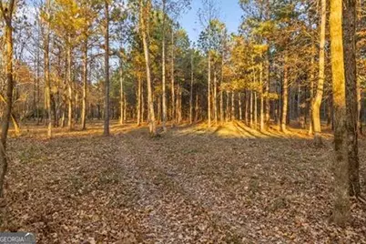 2903 S Old Federal Road, Chatsworth, GA 30705 - Photo 71