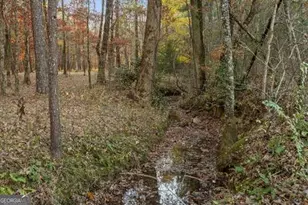 2903 S Old Federal Rd, Chatsworth, GA 30705 - Photo 13