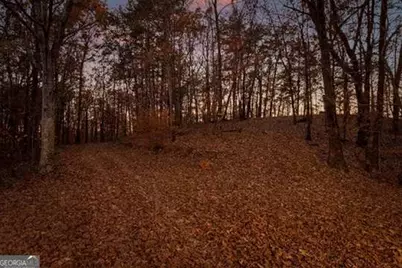 2903 S Old Federal Road, Chatsworth, GA 30705 - Photo 85