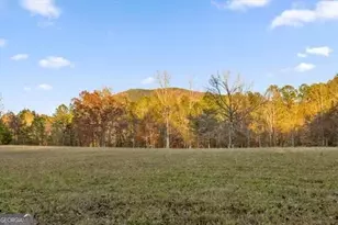 2903 S Old Federal Rd, Chatsworth, GA 30705 - Photo 23