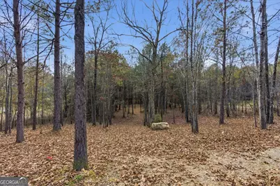 1111 Old Collard Valley Road, Aragon, GA 30104 - Photo 33