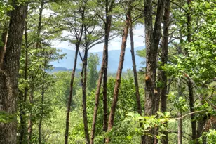 58 Whitetail Hollow, Morganton, GA 30560 - Photo 7