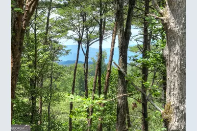 58 Whitetail Hollow, Morganton, GA 30560 - Photo 5