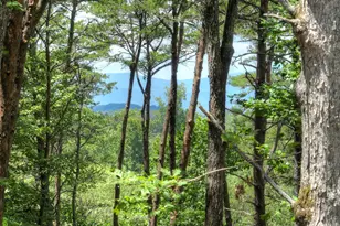 58 Whitetail Hollow, Morganton, GA 30560 - Photo 5