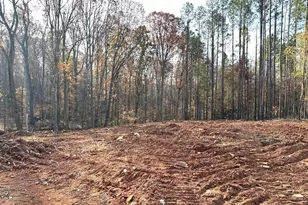 2037 Boulder Ridge Ln, Bishop, GA 30621 - Photo 3